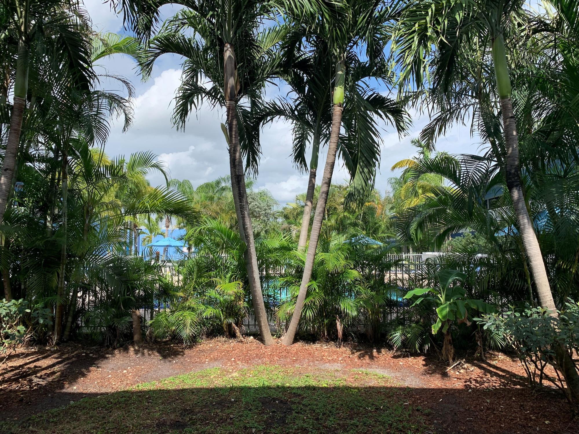 Rodeway Inn & Suites Fort Lauderdale Airport & Cruise Port Dania Beach Exterior photo